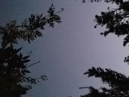 Universe Is Working In Your Favor