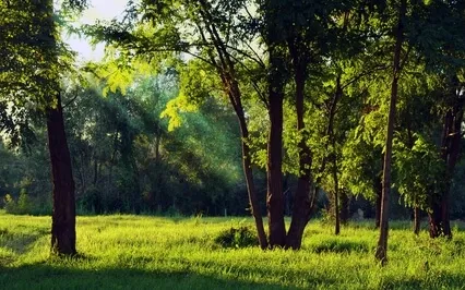 Unknown. Music For Meditation