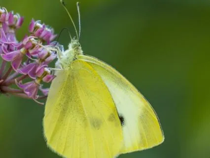 Unlearning Habits & Behaviors