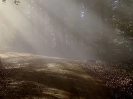 Unleash Creativity By Connecting To Your Inner Child