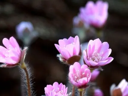 Unleash Your Confidence: Step Into Your Power | 18 Hz