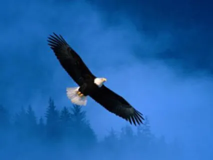 Unleash Your Passion, Purpose And Highest Potential