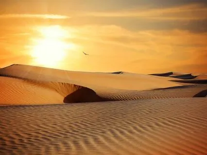 Unleashed - Breathwork For Empowerment