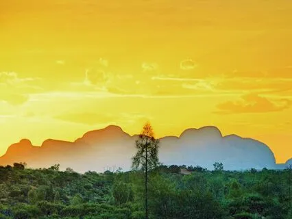 Unleashing The Love You Were Born To Share