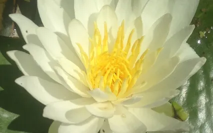 Unlimited Possibilities