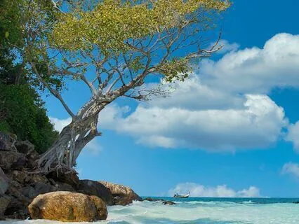 Unlock Abundance | Attract Luck, Miracles, And Wealth