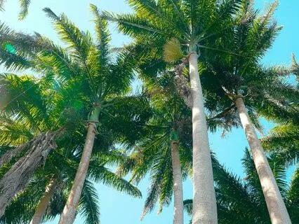 Unlock Abundance | Attract Wealth, Prosperity, And Luck