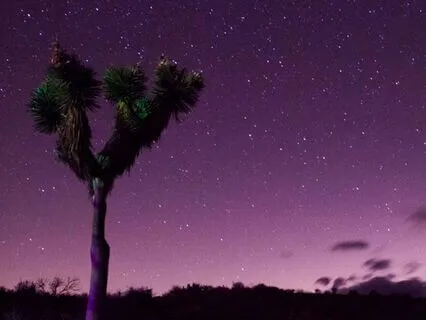 Unlock REM Sleep & Lucid Dreaming