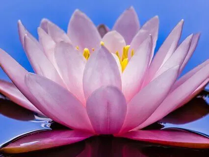 Unlock The Positive Energy Of Money, Unblock & Receive