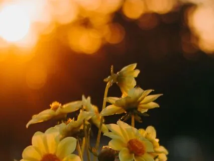 Unlock Your Creative Potential