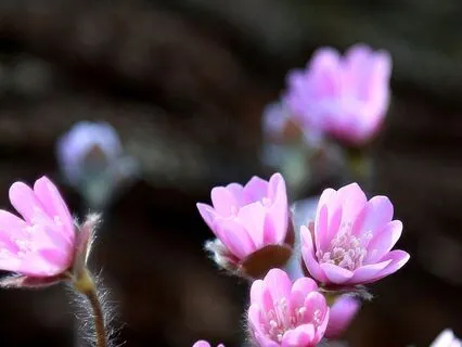 Unlock Your Creativity To Flow Into Inspiration Now | 2 Hz