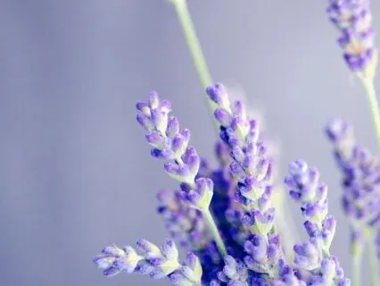 Unlock Your Drive: Stay Motivated and Energized 639 Hz