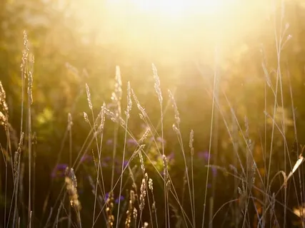 Unlock Your Extraordinary Power (Expanded)