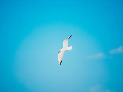 Unlock Your Extraordinary Power (Short Version)