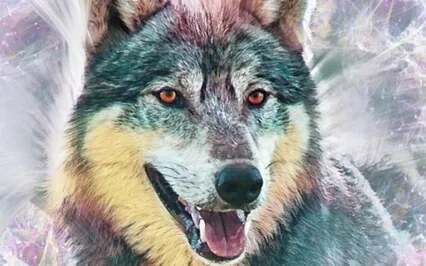 Unlock Your Hidden Strength: Discover Your Power Animal