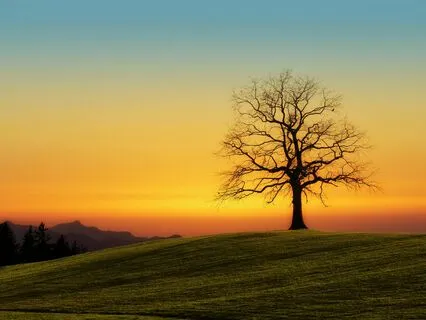 Unlock Your Potential: 888 Hz - Meditation - Therapy