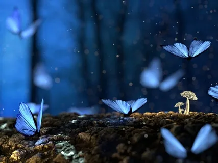 Unlock Your Potential - DNA Activation - Journey 11 Of 13