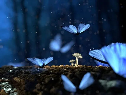 Unlock Your Potential - DNA Activation - Journey 12 Of 13