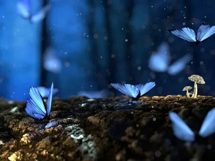 Unlock Your Potential - DNA Activation - Journey 13 Of 13 