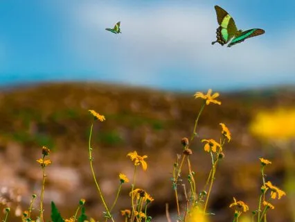 Unlock Your Power: Manifesting Miracles With The 4 Elements