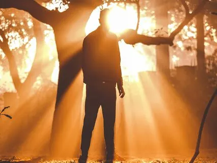 Unlock Your Shadow's Gifts