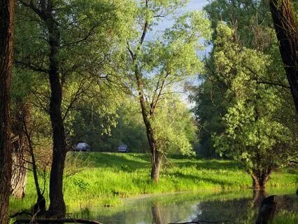 Unlock Your Spiritual Potential : Time-Friendly Affirmations