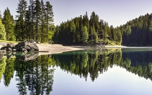 Unlock Your True Potential & Total Peace