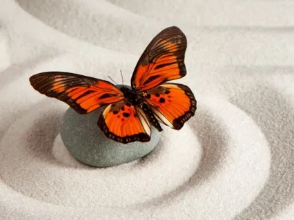 Unlocking Creativity