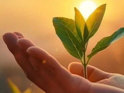 Unlocking Emotional Freedom With EFT