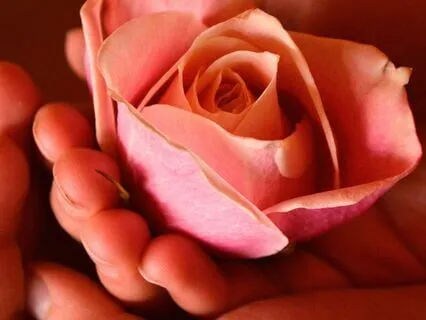 Unlocking Inner Wealth: Dive Into Lakshmi's Abundance Mudras