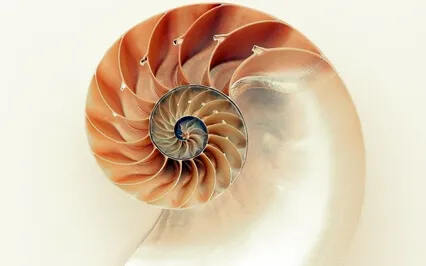 Unlocking New Potentials