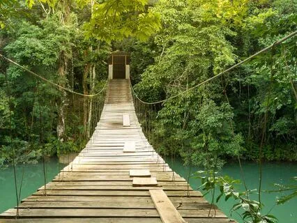 What Creates Lasting Happiness | Talk