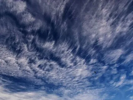 Unlocking The Mystery Of Love