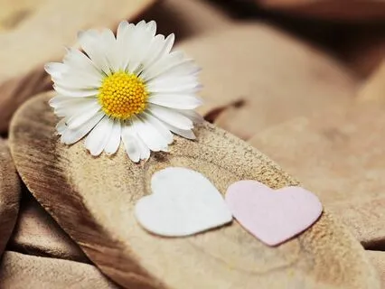 Unlocking The Power Of Gratitude