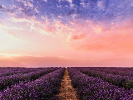 Unlocking Yor Abundance Mindset