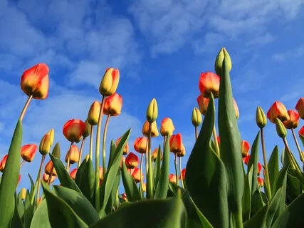 Unlocking Your Full Potential