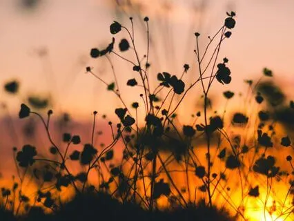 Unmasking The Layers To Be Our Most Authentic Selves