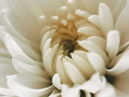 Unmasking The Mind: A Simple Practice For Clarity