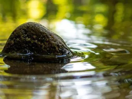 Unobstructed Allowance | The Art Of True Surrender