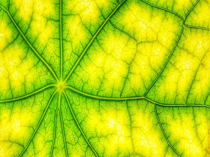 'Unplug' Breathing Practice - 2: 'Bottom Triangle Breathing'