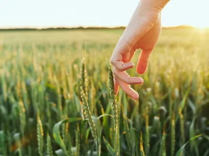 Unplugged Chacapa Blessing | Tribal Sounds Journey