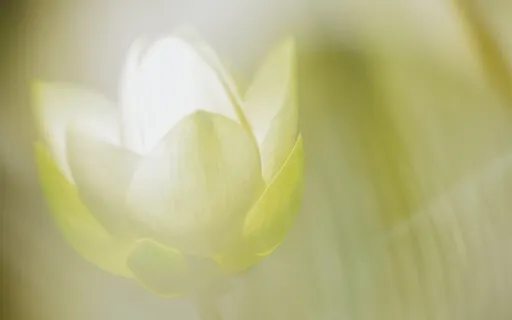 Unravelling Stuck Pain (Part 2)