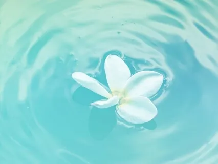 Unscripted: Trust And Surrender Journey Flow