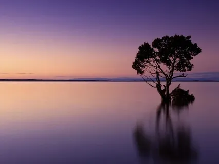 Unshakable - Being The Wind