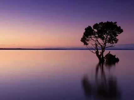 Unshakable - Feeling Comfortable In A Storm