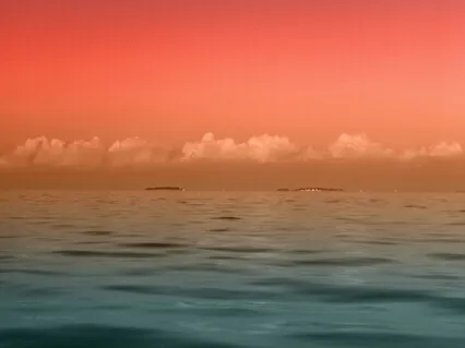 Unshakeable Heart, Chaotic Times: Day 1