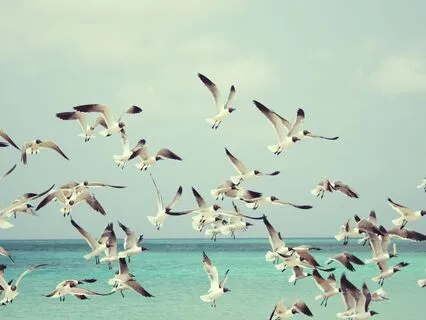 Unsubscribing From The Mind