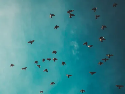 Untangle And Be Free