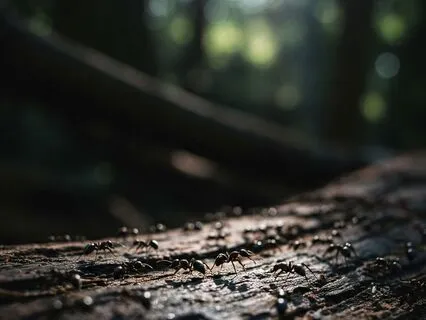 Untangling Mixed Feelings With Magnetic Heart Meditation