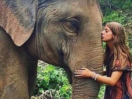 The Elephant And The Rope: Courage To Keep Trying